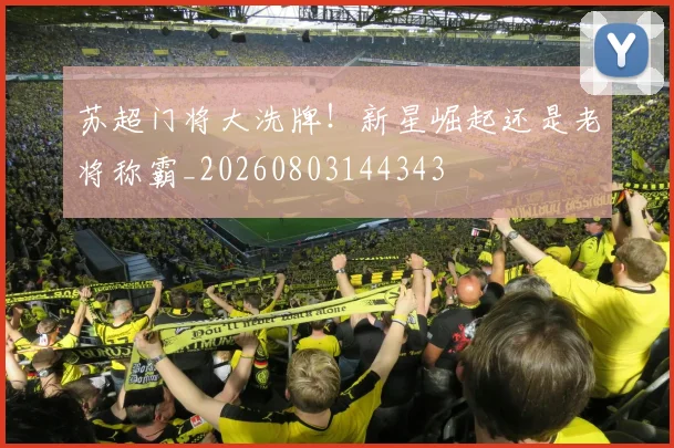 苏超门将大洗牌！新星崛起还是老将称霸_20260803144343